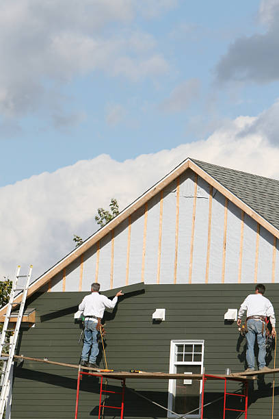 Best Carpet Removal and Disposal  in Ste Genevieve, MO